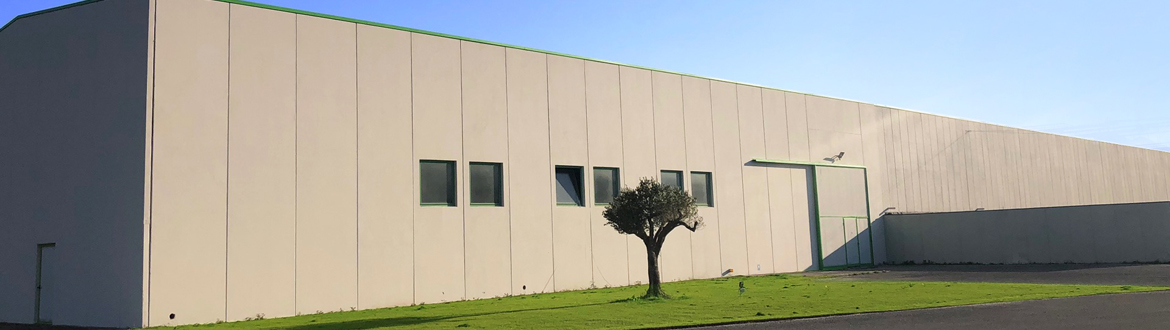 Azienda